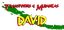 Mudanzas David logo