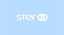 Logo STEF IRUN