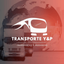 Transporte Y&P logo