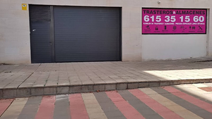 Trasterosleon