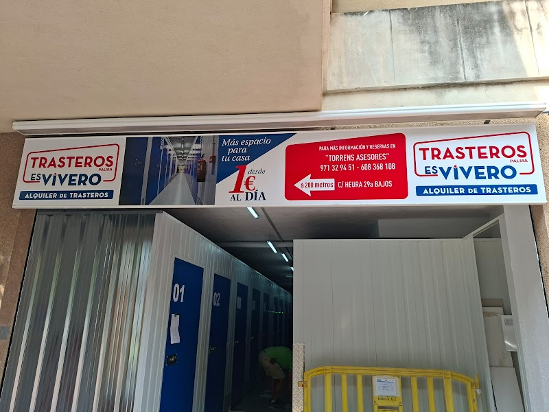 Trasteropalma