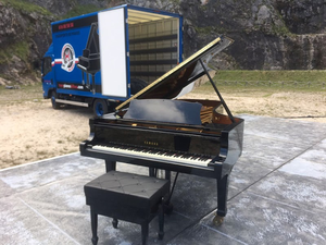 Transporte de Pianos TRANSPIANOS