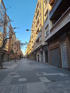 Ofirioja