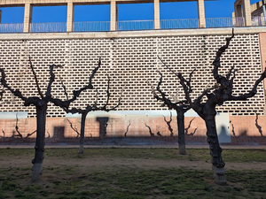 Trasters, garatges, guardamobles i