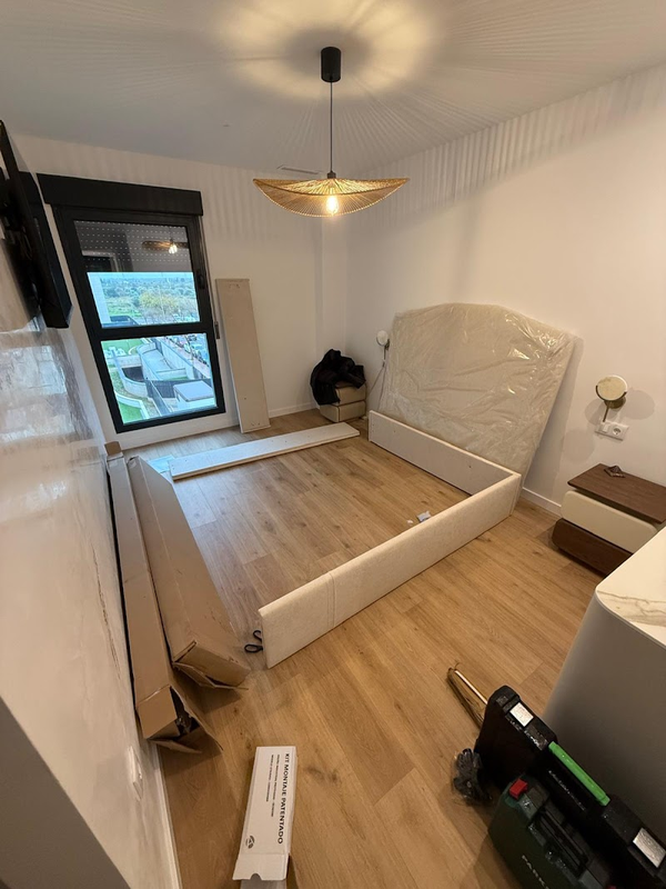 Mudanzasbossvanservice