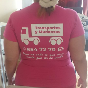 Mudanzasvicente H
