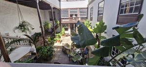 La Laguna