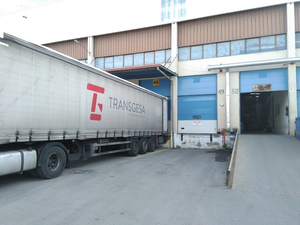 Transgesa