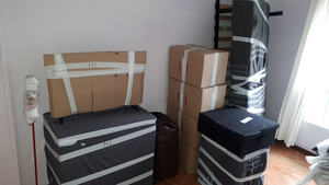 Mudanzas Embajador