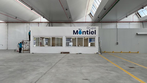 Grupo Montiel