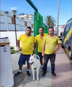 Phoenix Trans Internacional S