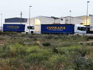 Transportes Hermanos Freijo