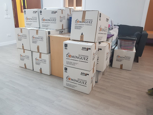 Mudanzasdominguez