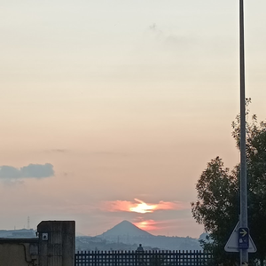 almacenes del ayuntamiento