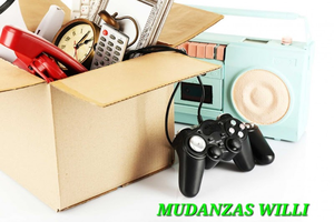 Mudanzaswilli