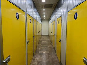 Trasterosantolinos