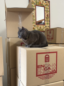 Encaja