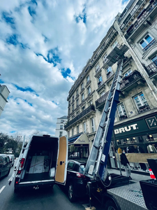 City Movers International Movers