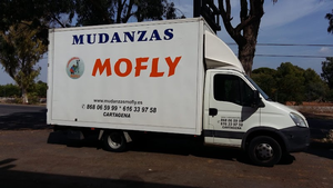 Mudanzasmofly