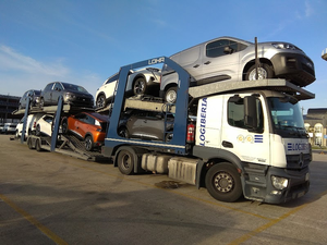 CEVA CTL 4