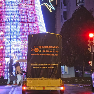 Bricomudanzas