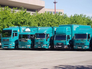 Grupo Amygo Cádiz
