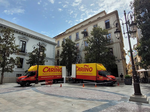 Grupocarino