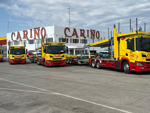 Grupocarino