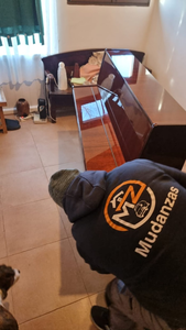 Mudanzasmz