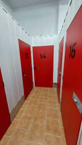 Mogollon de Trasteros
