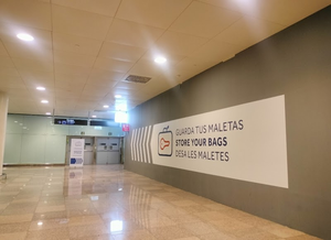 Excess Baggage Company