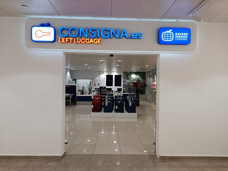 Excess Baggage Company