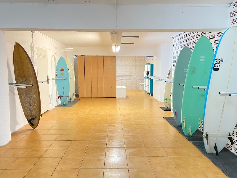 Guarda Tablas de Surf