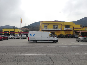 Transzoni