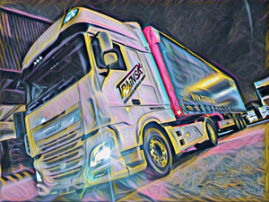 Transportes Inmediatos Sabadell, S.A.