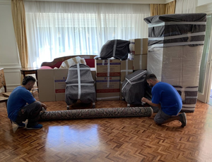 Transportesdesande