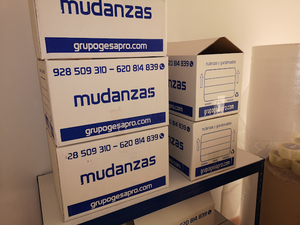 Mudanzas Gesapro