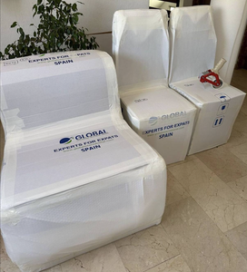 GLOBAL RELOCATION
