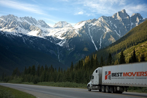 Bestmovers