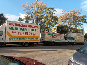 Serviciodemudanzasenmadrid