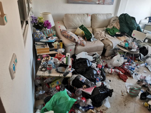Recogedor de Muebles