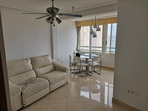 Recogedor de Muebles
