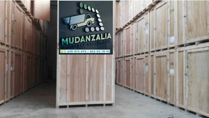 Mudanzalia