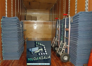 Mudanzalia