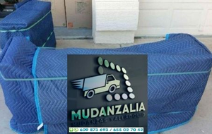 Mudanzalia