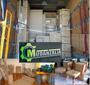 Mudanzalia