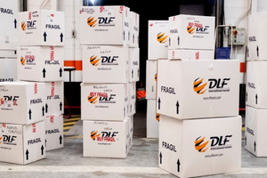 DLF International Movers