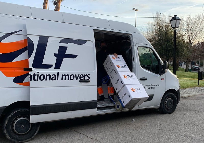DLF International Movers