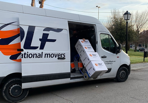 DLF International Movers