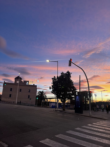 Torras i bages